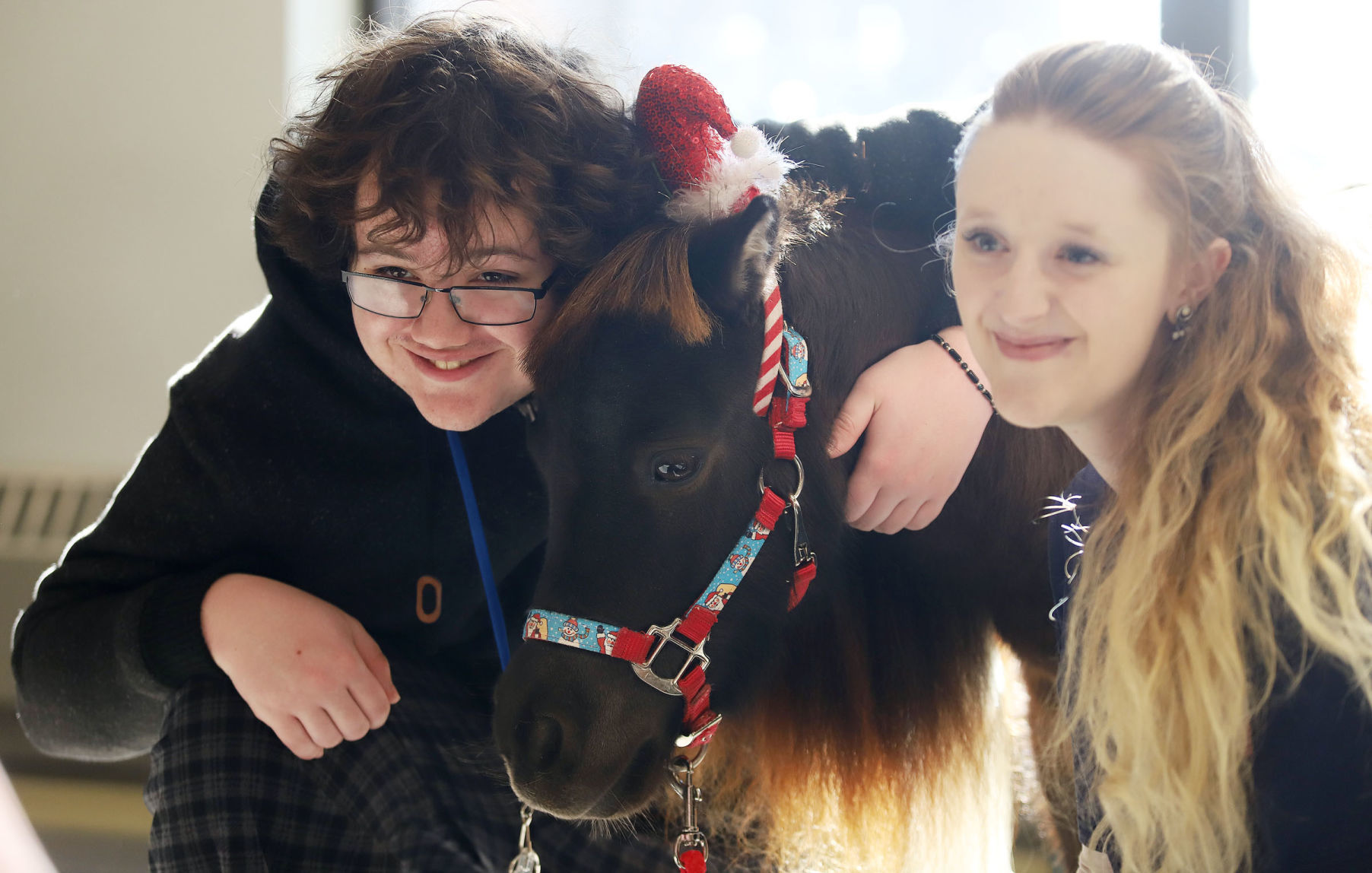 mini therapy horses 22 12.12.18.jpg